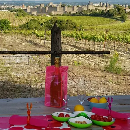 Dochavert B&B 카르카손